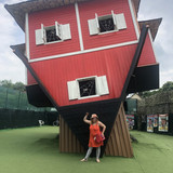 IMG 3278