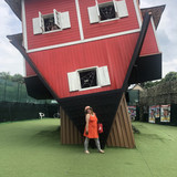 IMG 3284