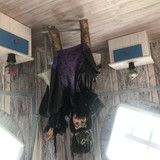 IMG 3250