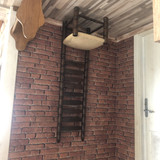 IMG 3256