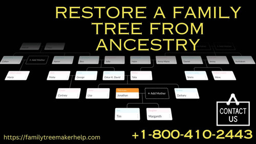 restore a family tree from ancestry 1536x864.jpg