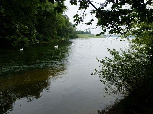 St Pryvé St Mesmin Pointe de Courpain 15.jpg
