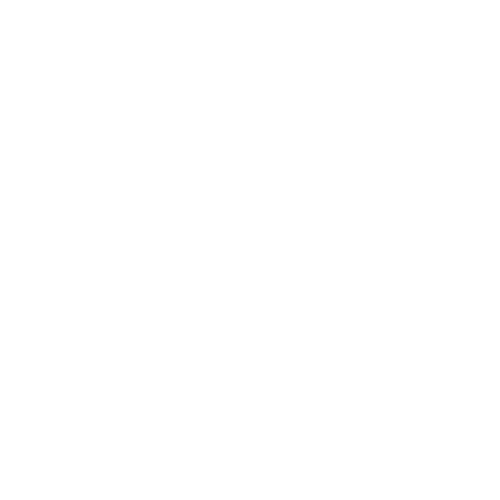CANAL DO BOI³