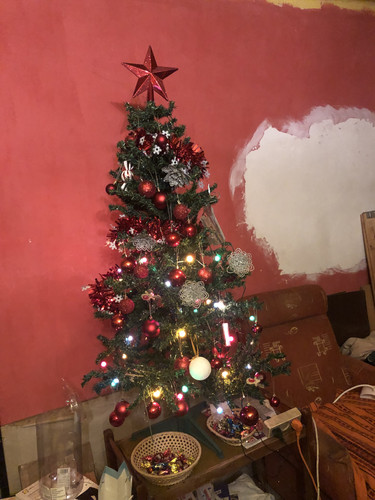 IMG 4981.jpg