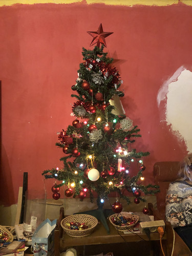 IMG 4983.jpg