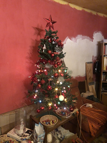 IMG 4980.jpg