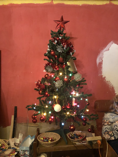 IMG 4982.jpg
