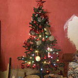 IMG 4982