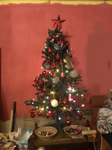 IMG E4982.jpg