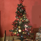 IMG E4982