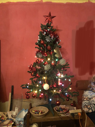 IMG E4983.jpg
