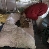 IMG 2815