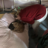 IMG 2817