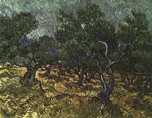 Van Gogh Vincent The Olive Grove 1889