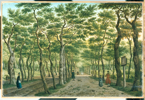 Fargue, Paulus Constantijn la Дорога в гаагском лесу, 1778, 23 cm х 34 cm, Дерево, масло
