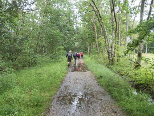 Saran Forêt d'Orléans 26.jpg