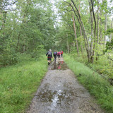 Saran Forêt d'Orléans 26