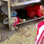 IibGM9z18m3Xaj7.gif