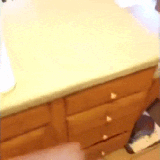 猫子戏法.gif