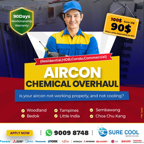 Aircon Chemical Overhaul.jpg