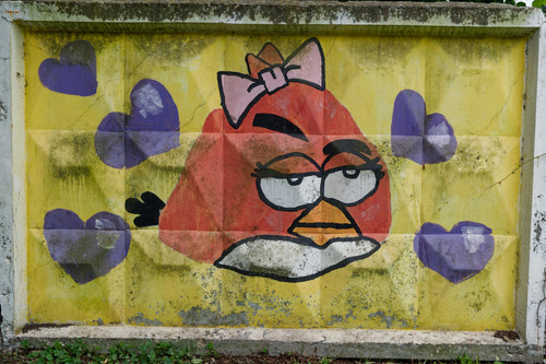 DSC 0061 DxO.jpg