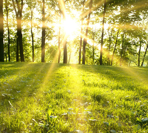 Internal Family Systems Sydney.jpg