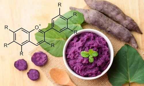 anthocyanin2301