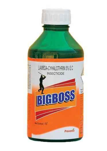 Bigboss