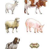 50