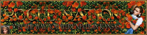 OzSleep Banner.jpg