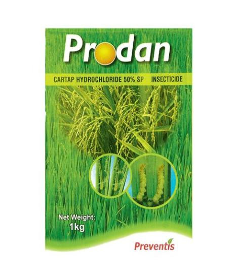 Prodan