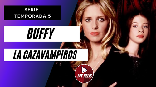 Copia de Pink and Purple Sporty Gradient Fitness YouTube Thumbnail (14).png