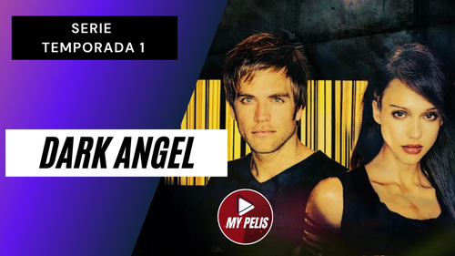 Copia de Pink and Purple Sporty Gradient Fitness YouTube Thumbnail (8).png