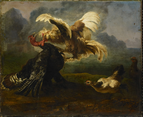 Unknown Драка птиц, 1655, 127 cm x 158 cm, Холст, масло