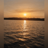 1000061839.gif
