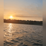 1000061840.gif