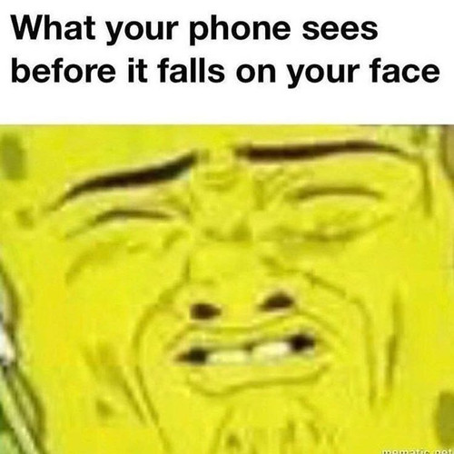 ee272f16ee59.jpg