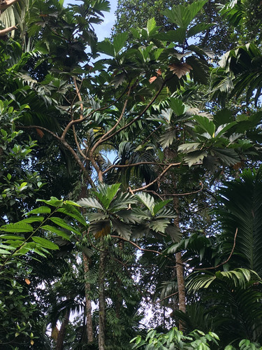 0ADBF8C3 AC9E 438C 8E14 EE21CF8FF595.jpg