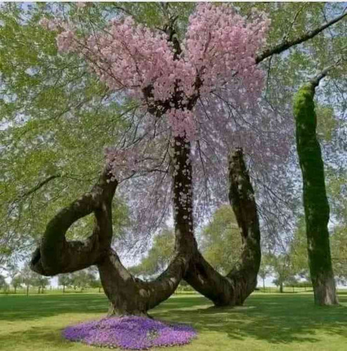JPEG 20240704 145444 2114857738646762307.jpg