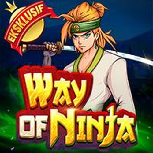 WAY OF NINJA.jpg