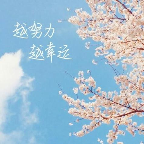 tmp images21b0c82fd5a00c8e7179233645b34b7c.jpg