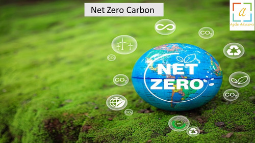 4.7.24nzcarbon.jpg