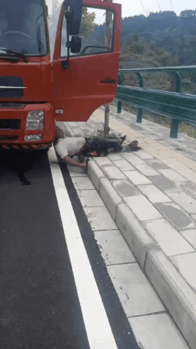 GIF 240702 160852.gif