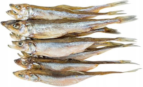 Stynka suszona przekaska do piwa cena za 100g.jpg