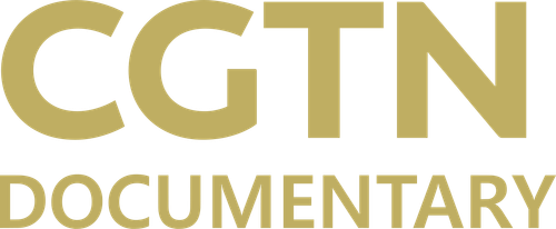 CGTN Documentary.svg.png