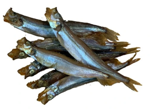 gromadnik wędzony.png
