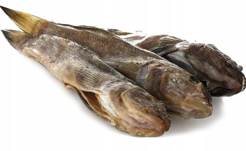 babka śniadogłowa.png