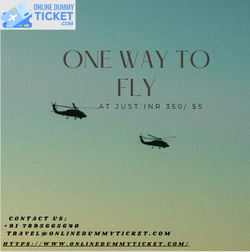ONE WAY TO FLY.png