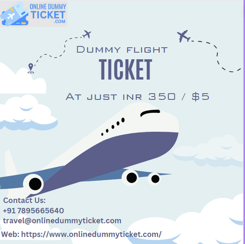 dummy flight ticket.png