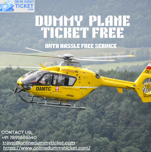 DUMMY PLANE TICKET FREE.png